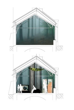 Entw&uuml;rfe f�r Wandgestaltung Buchenwald