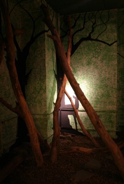 Max Schmeling Ausstellung: Natur-Raum