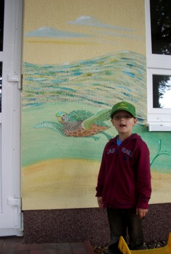 Fassadenmalerei: Wasserschildkr&ouml;te